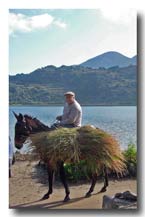 Born on Pantelleria
