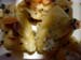 w2tortelli_erbe